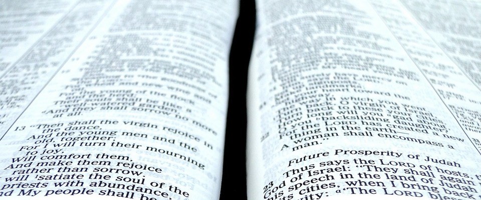 Renewing Biblical Certainty | Mark Bauerlein - Vimarsana News