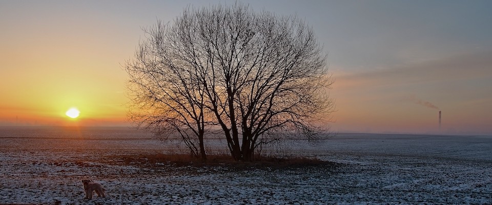 Two Families and the Communion of Saints | George Weigel - Vimarsana News