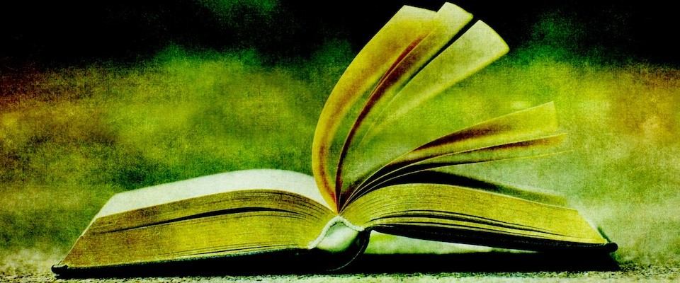 What We've Been Reading—March 2023 | Editors - Vimarsana News