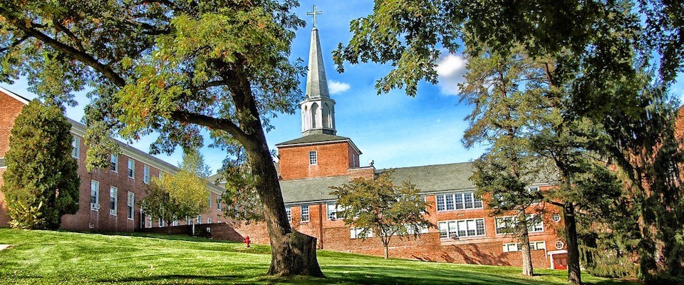 Divinity Schools and Diversity | Gerald McDermott - Vimarsana News