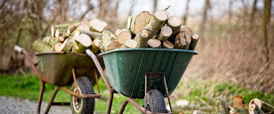 The Pleasure of Chopping Wood | Alec Torres - Vimarsana News