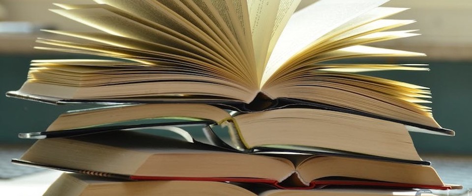 What to Read About Instead of Trump and Self-Help | John Wilson - Vimarsana News