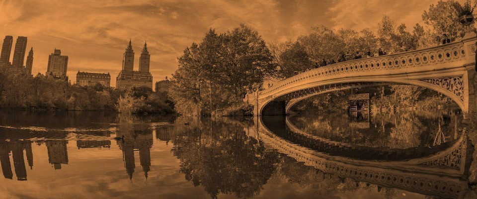 Intellectual Retreat in New York City